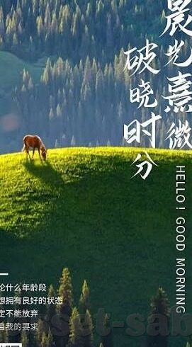 14足球比分直播-14足球比分直播，绿茵场上的实时心跳，球迷的激情纽带